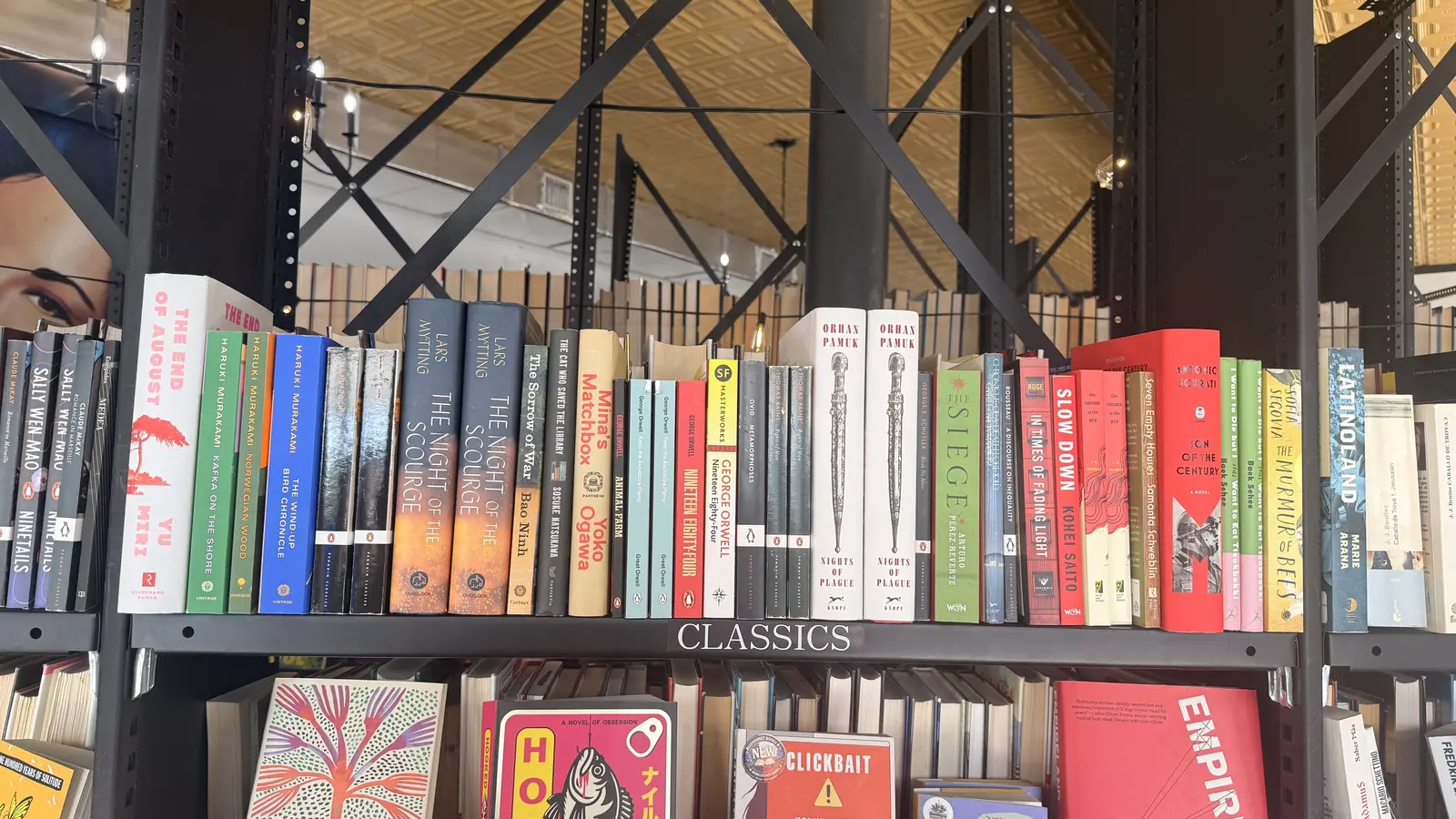 Classics shelf featuring Haruki Murakami, George Orwell, Orhan Pamuk, and other Penguin and Vintage classics.